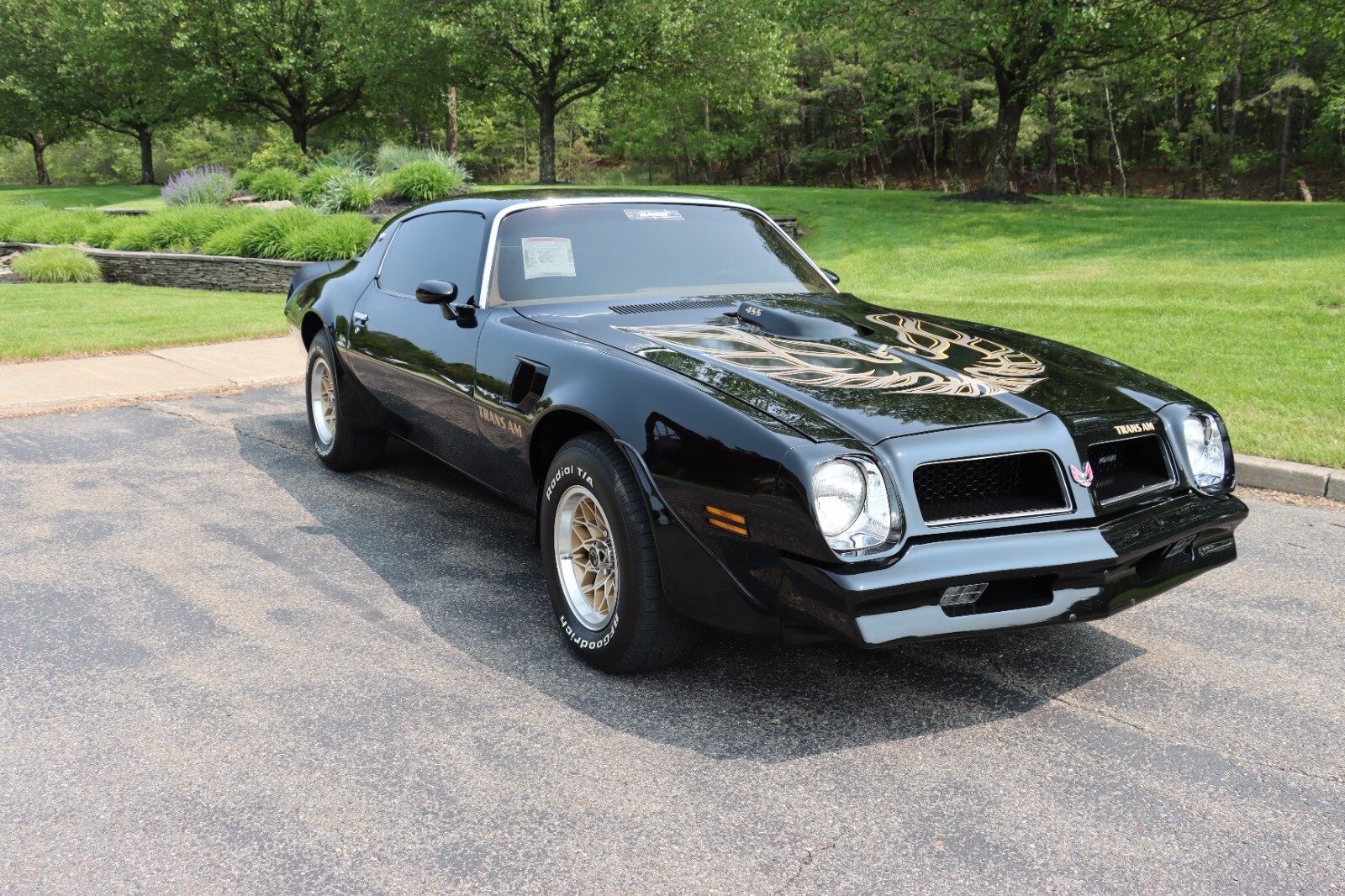 Pontiac-Trans-Am-1976-39
