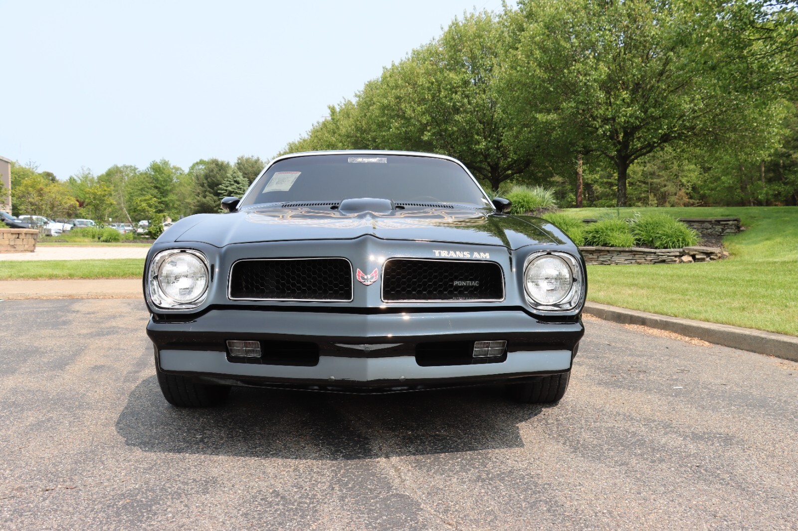 Pontiac-Trans-Am-1976-4