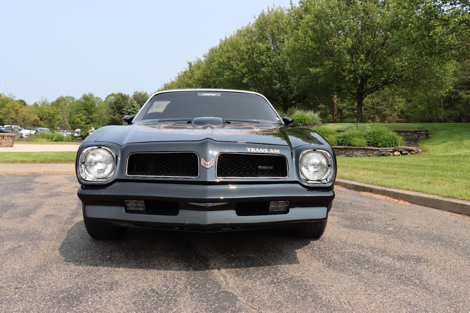 Pontiac-Trans-Am-1976-5