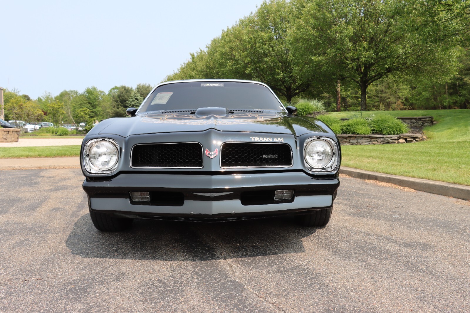 Pontiac-Trans-Am-1976-6