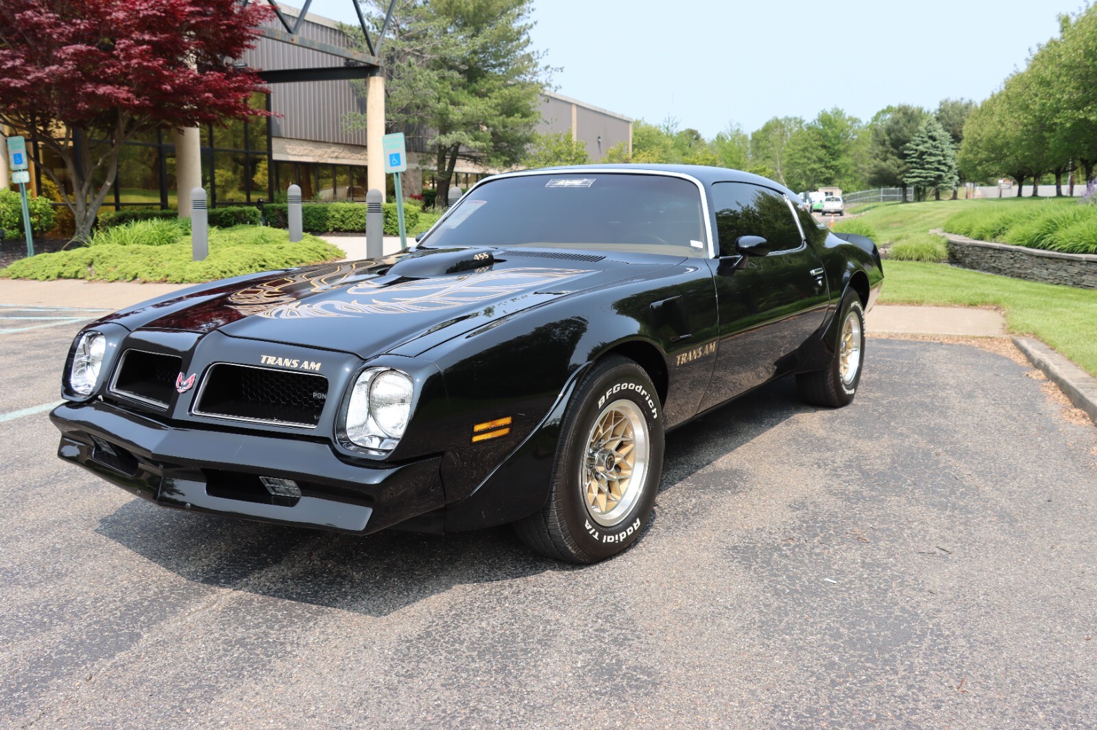 Pontiac-Trans-Am-1976-7