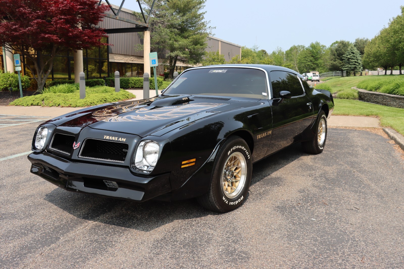 Pontiac-Trans-Am-1976-8