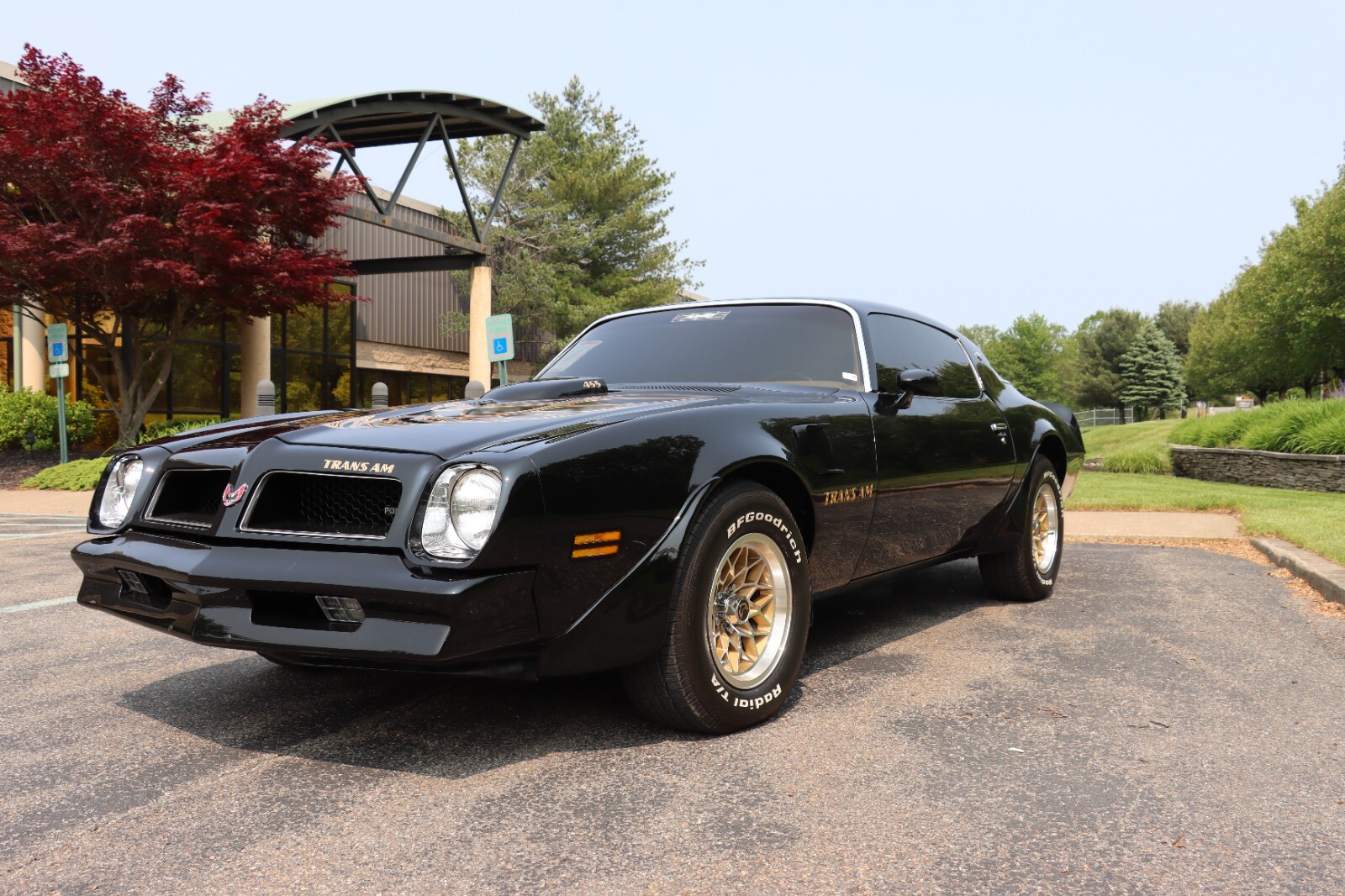 Pontiac-Trans-Am-1976-9
