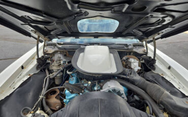 Pontiac-Trans-Am-1976-Coupe-13