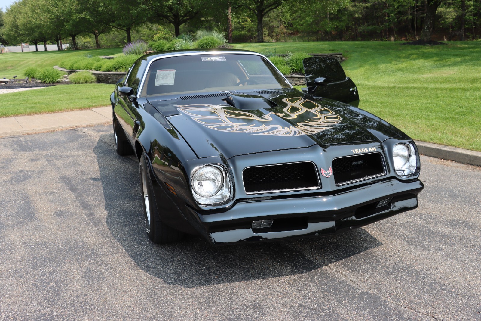 Pontiac-Trans-Am-1976