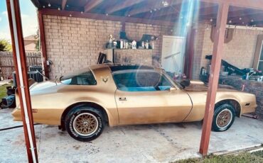 Pontiac-Trans-Am-1978-Coupe-1