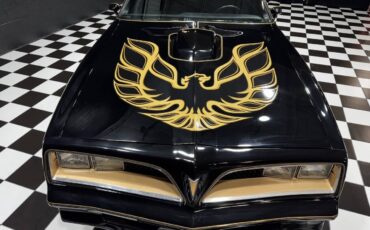 Pontiac-Trans-Am-1978-Coupe-16