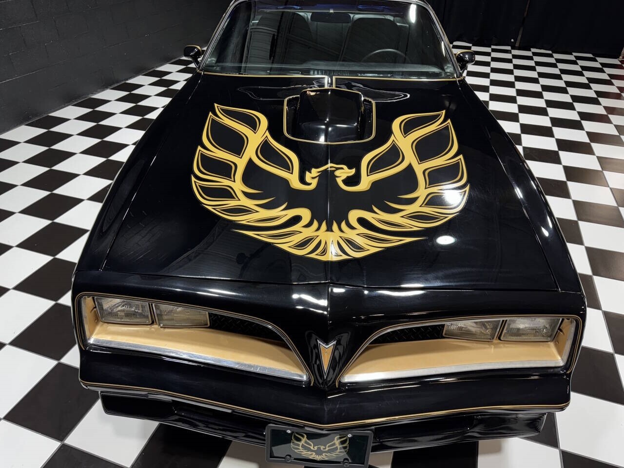 Pontiac-Trans-Am-1978-Coupe-16