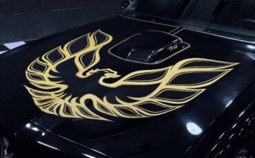 Pontiac-Trans-Am-1978-Coupe-17