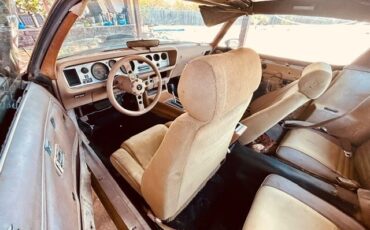 Pontiac-Trans-Am-1978-Coupe-18