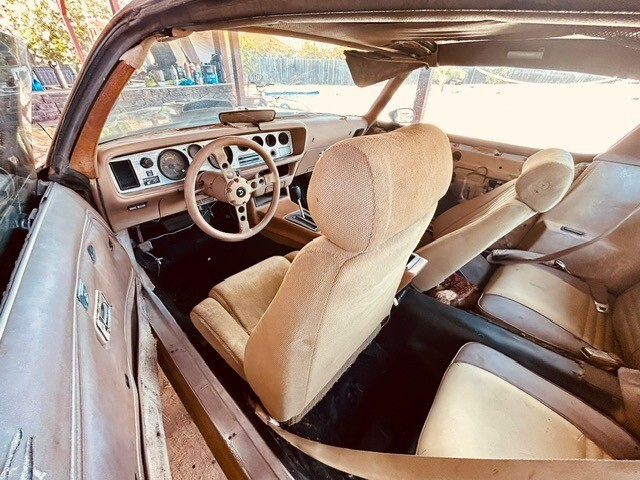 Pontiac-Trans-Am-1978-Coupe-18