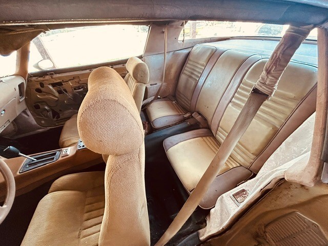 Pontiac-Trans-Am-1978-Coupe-19
