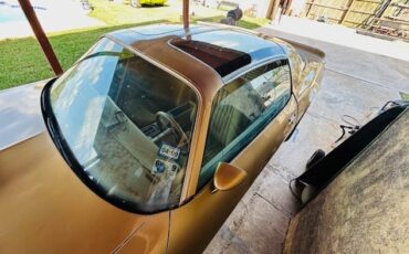 Pontiac-Trans-Am-1978-Coupe-2