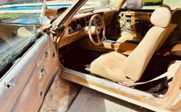 Pontiac-Trans-Am-1978-Coupe-20