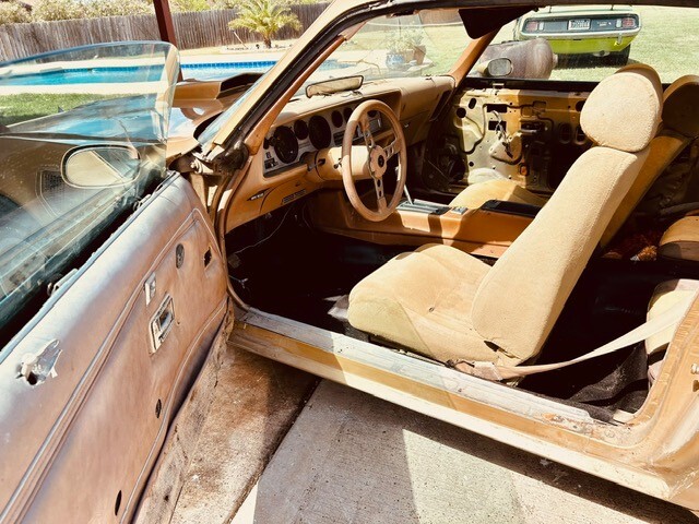 Pontiac-Trans-Am-1978-Coupe-20