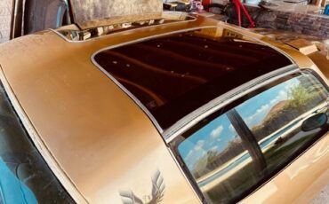 Pontiac-Trans-Am-1978-Coupe-21