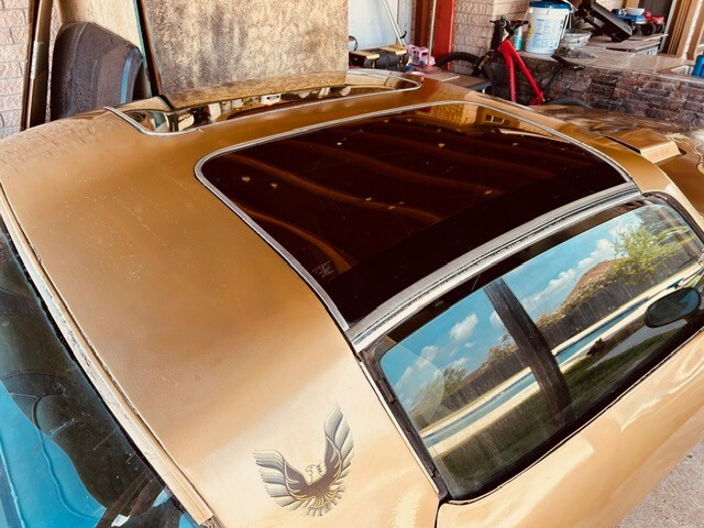 Pontiac-Trans-Am-1978-Coupe-21