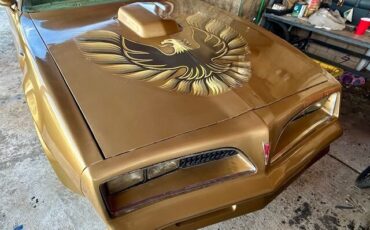 Pontiac-Trans-Am-1978-Coupe-24