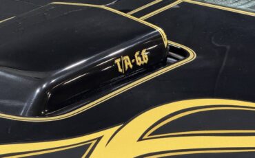 Pontiac-Trans-Am-1978-Coupe-25