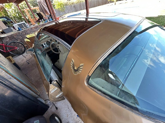 Pontiac-Trans-Am-1978-Coupe-4