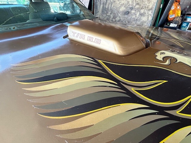 Pontiac-Trans-Am-1978-Coupe-5