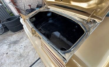 Pontiac-Trans-Am-1978-Coupe-6