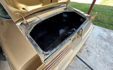 Pontiac-Trans-Am-1978-Coupe-8