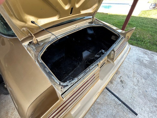 Pontiac-Trans-Am-1978-Coupe-8
