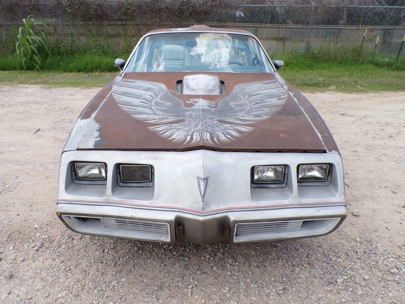 Pontiac-Trans-Am-1979-1
