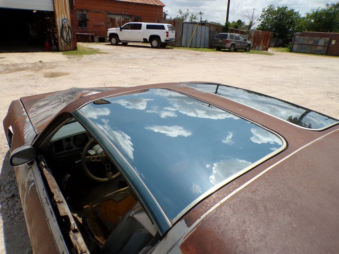 Pontiac-Trans-Am-1979-16
