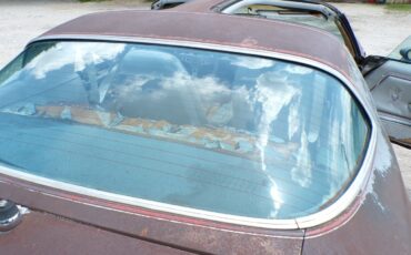 Pontiac-Trans-Am-1979-24