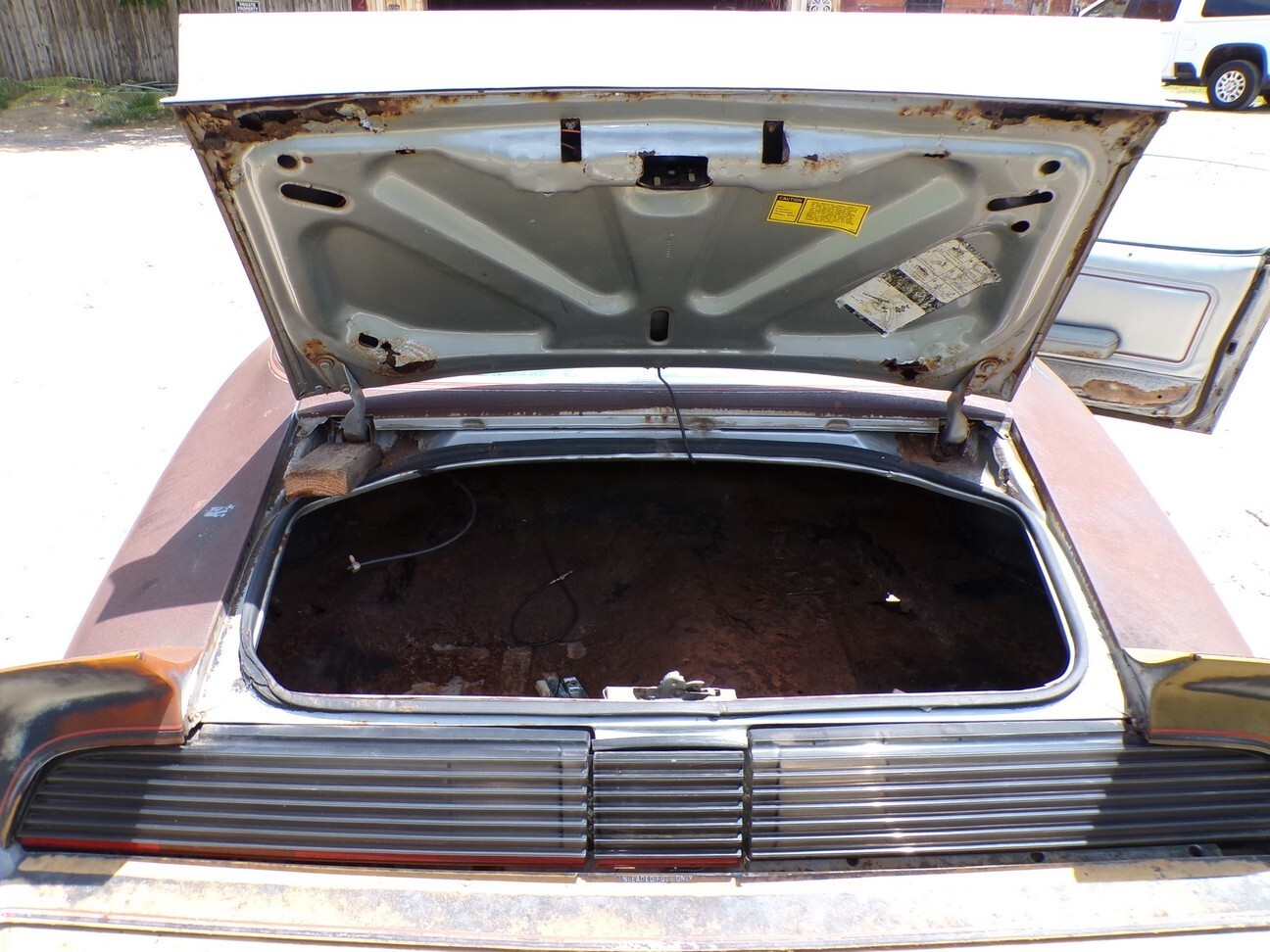 Pontiac-Trans-Am-1979-25