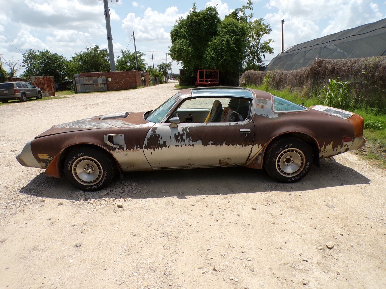 Pontiac-Trans-Am-1979-4