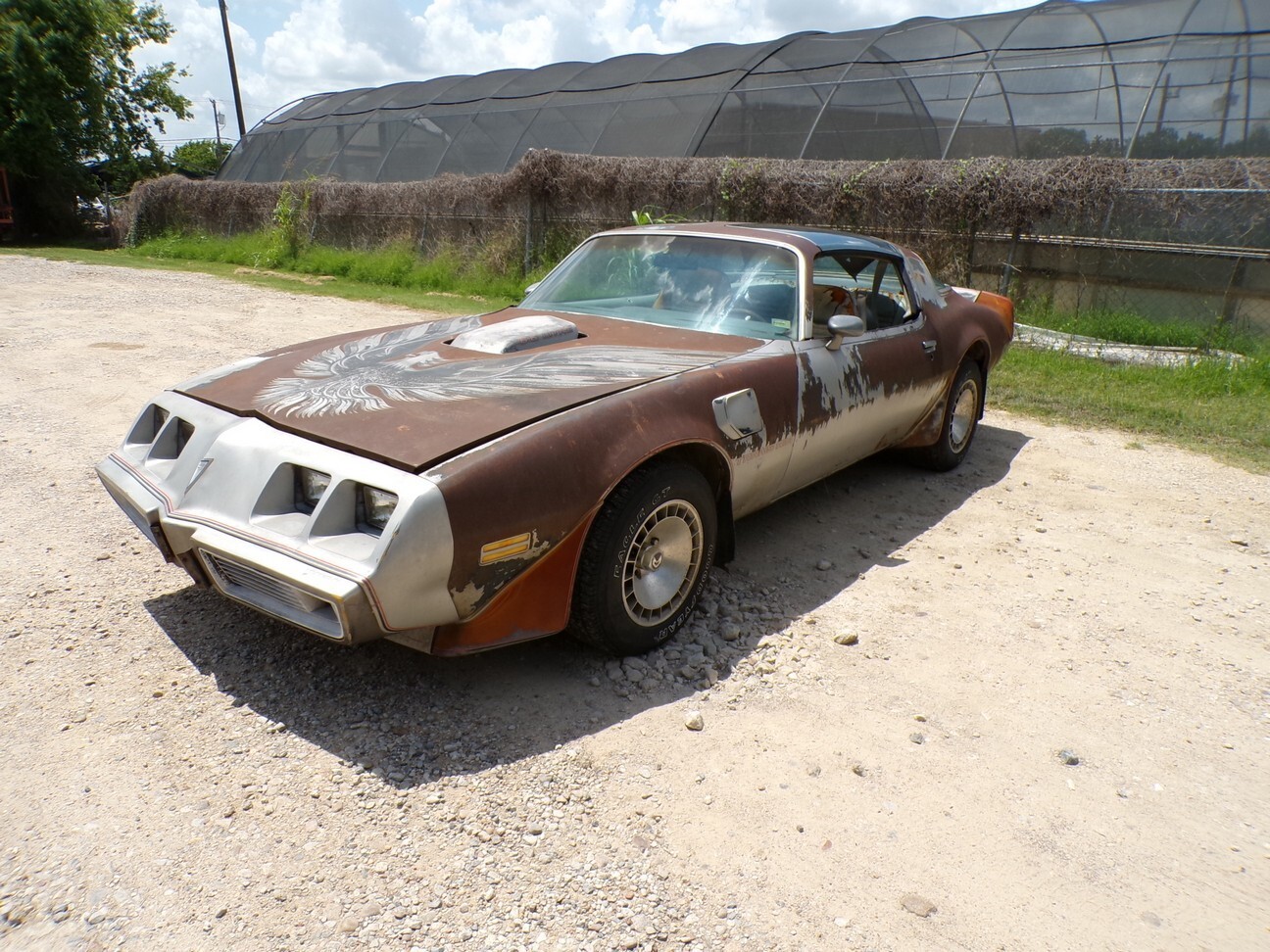 Pontiac-Trans-Am-1979