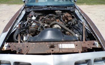 Pontiac-Trans-Am-1979-5