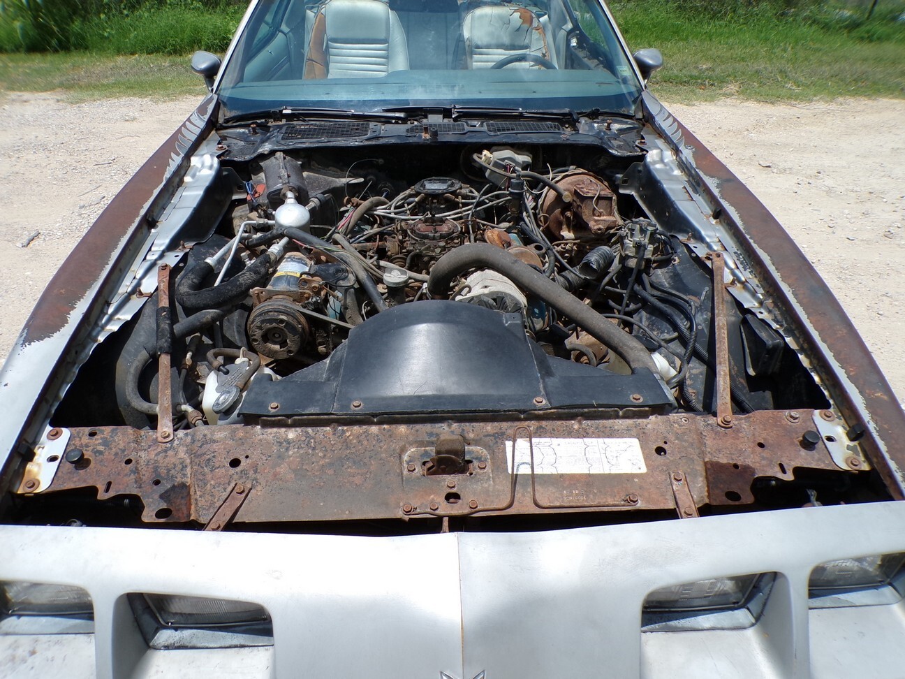 Pontiac-Trans-Am-1979-5