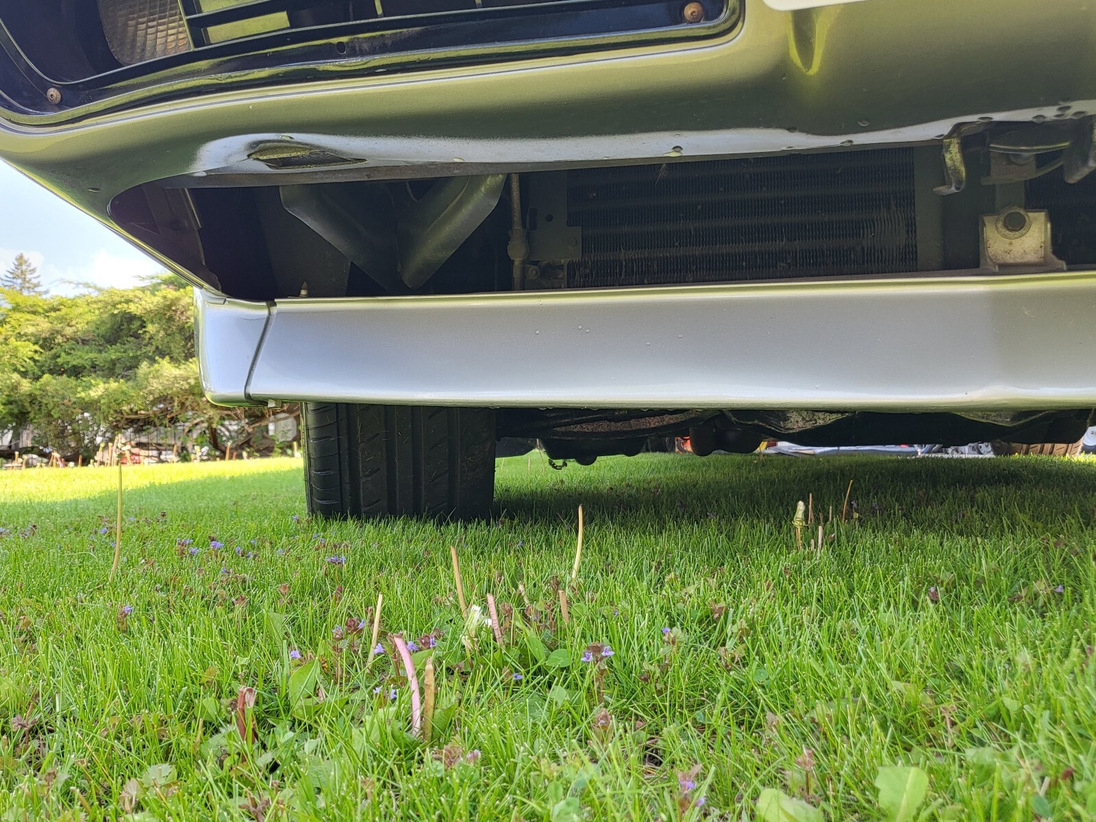 Pontiac-Trans-Am-1979-Coupe-10
