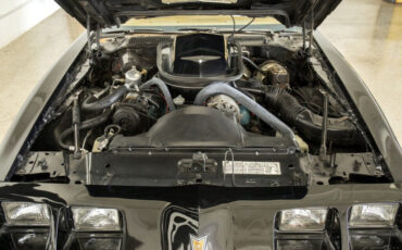 Pontiac-Trans-Am-1979-Coupe-14
