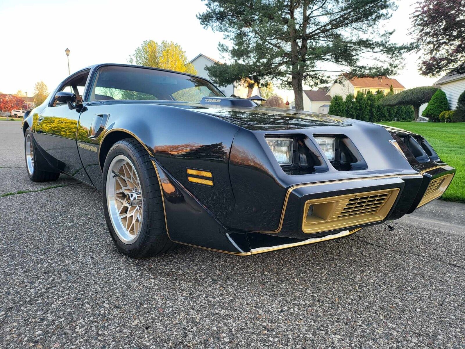 Pontiac-Trans-Am-1979-Sedan-1