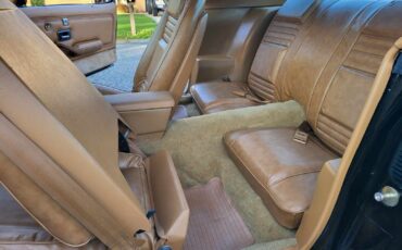 Pontiac-Trans-Am-1979-Sedan-13