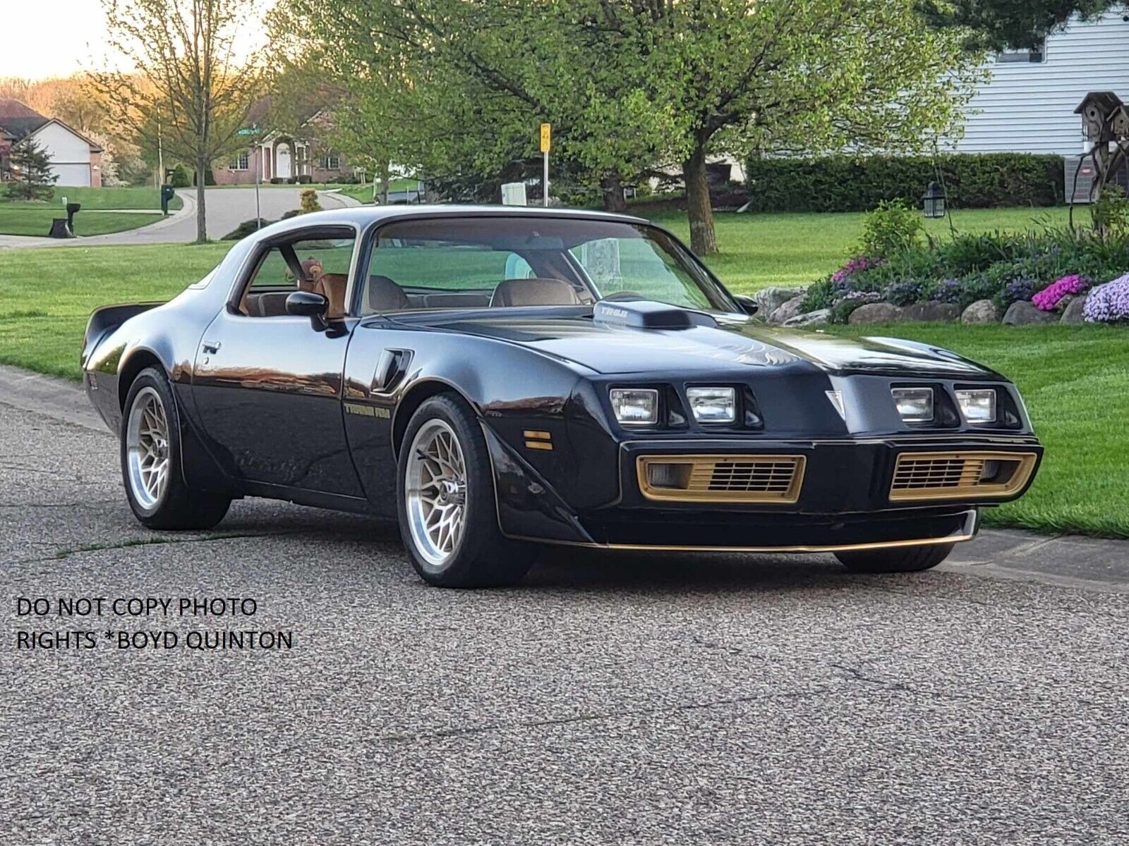 Pontiac-Trans-Am-1979-Sedan-3
