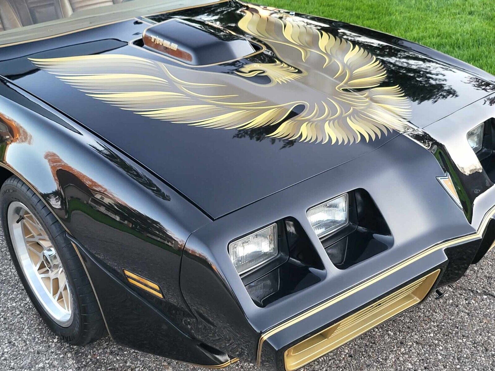 Pontiac-Trans-Am-1979-Sedan-8