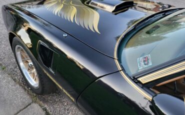 Pontiac-Trans-Am-1979-Sedan-9