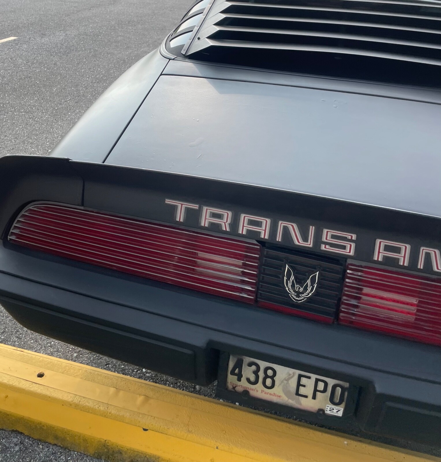 Pontiac-Trans-Am-1980-Coupe-10