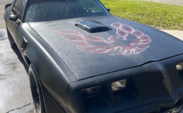 Pontiac-Trans-Am-1980-Coupe-35