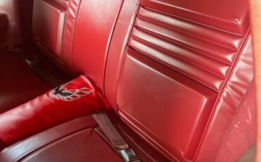 Pontiac-Trans-Am-1980-Coupe-5