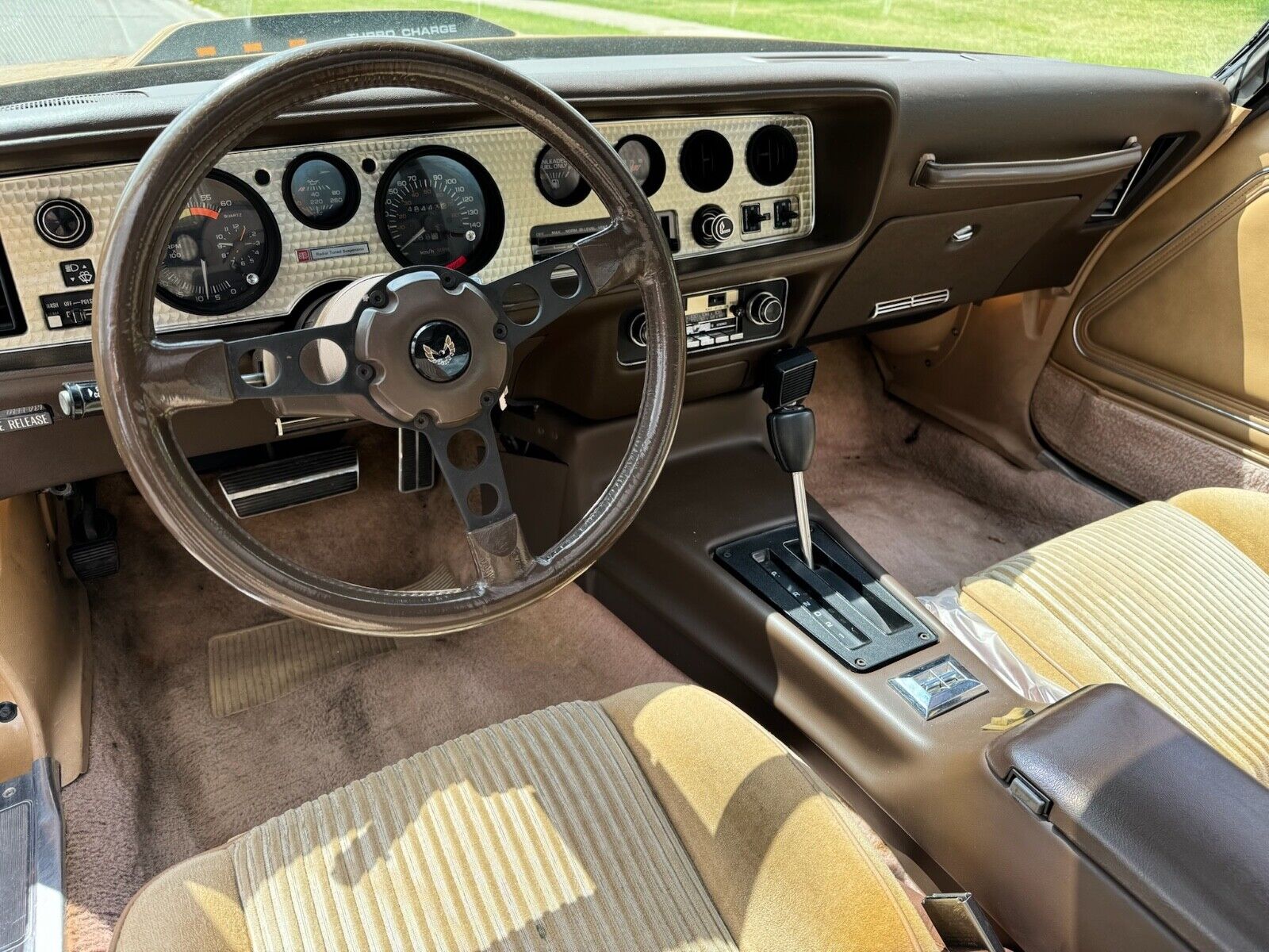Pontiac-Trans-Am-1981-1