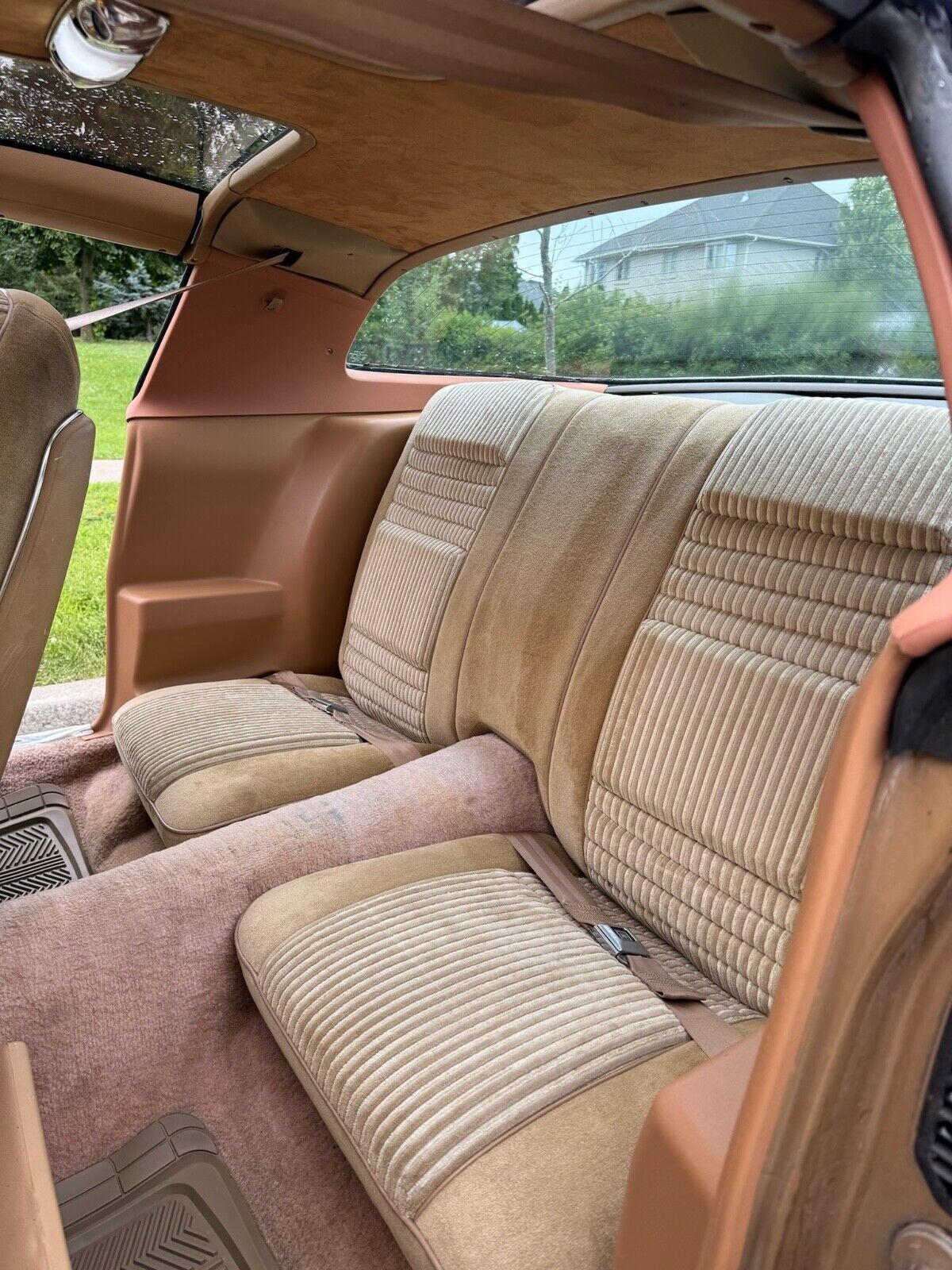 Pontiac-Trans-Am-1981-3