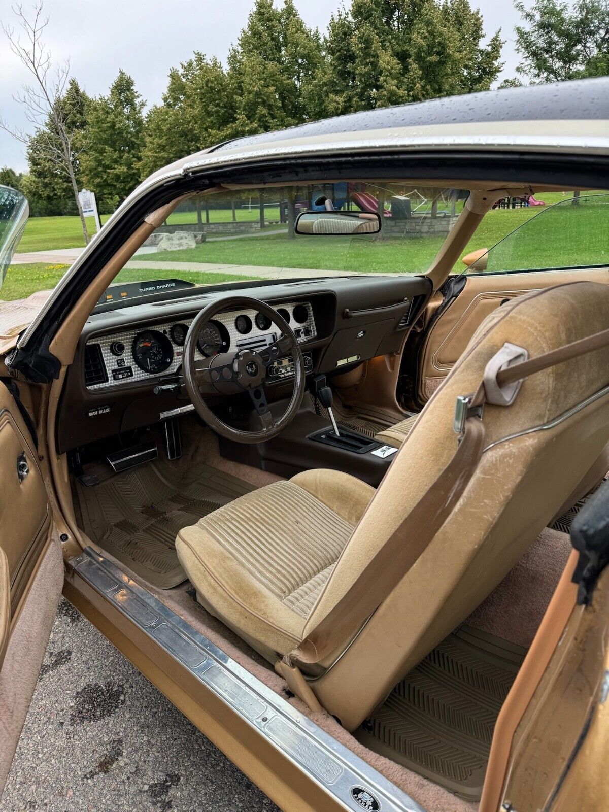 Pontiac-Trans-Am-1981-4