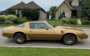 Pontiac-Trans-Am-1981-8